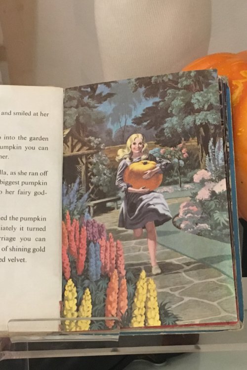 Well Loved Tales: Stories from a Ladybird Childhood
